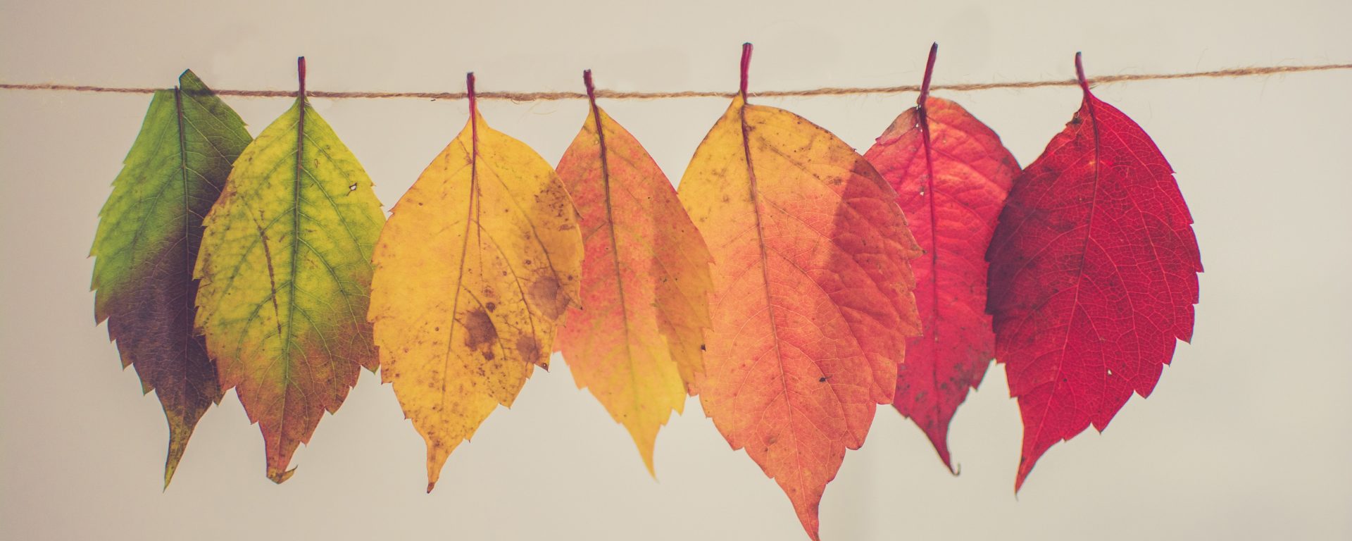 Kako sezonske promjene mogu uticati na vašu rutinu kod dijabetesa